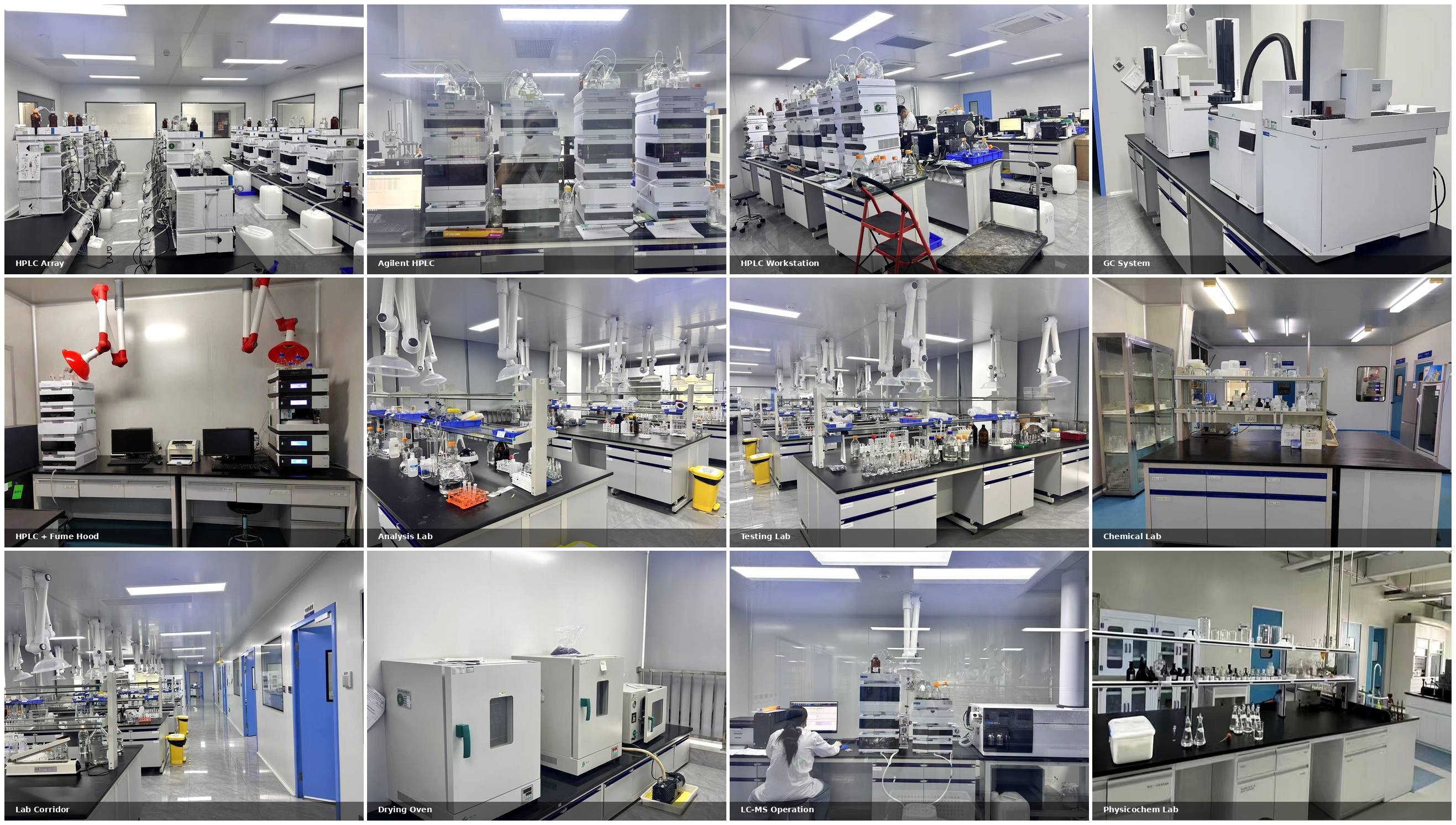 Analytical Testing equipment showing HPLC, LC-MS/MS, NMR and Comprehensive QC