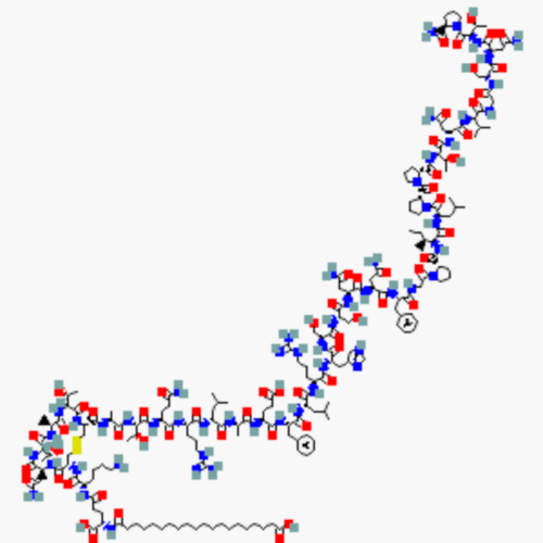 GLP-1 & Incretin Metabolic Peptides