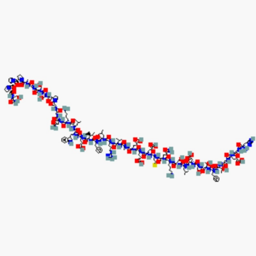 GLP-1 & Incretin Metabolic Peptides