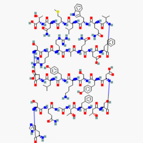GLP-1 & Incretin Metabolic Peptides