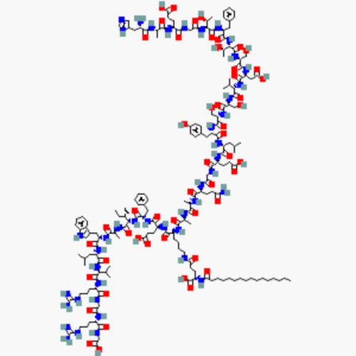 GLP-1 & Incretin Metabolic Peptides