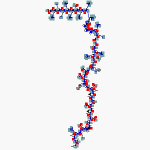 Longevity & Senescence Research